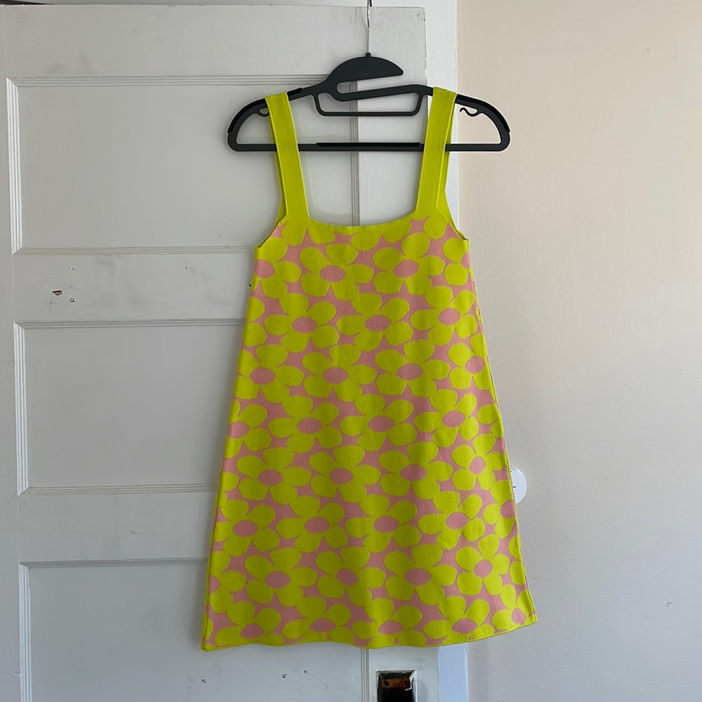 Zara Retro Floral Mini Dress